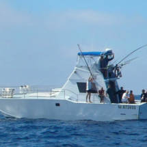Vedette Fishing Professional Versilcraft