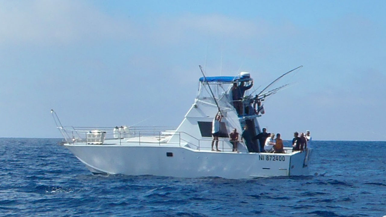 Vedette Fishing Professional Versilcraft